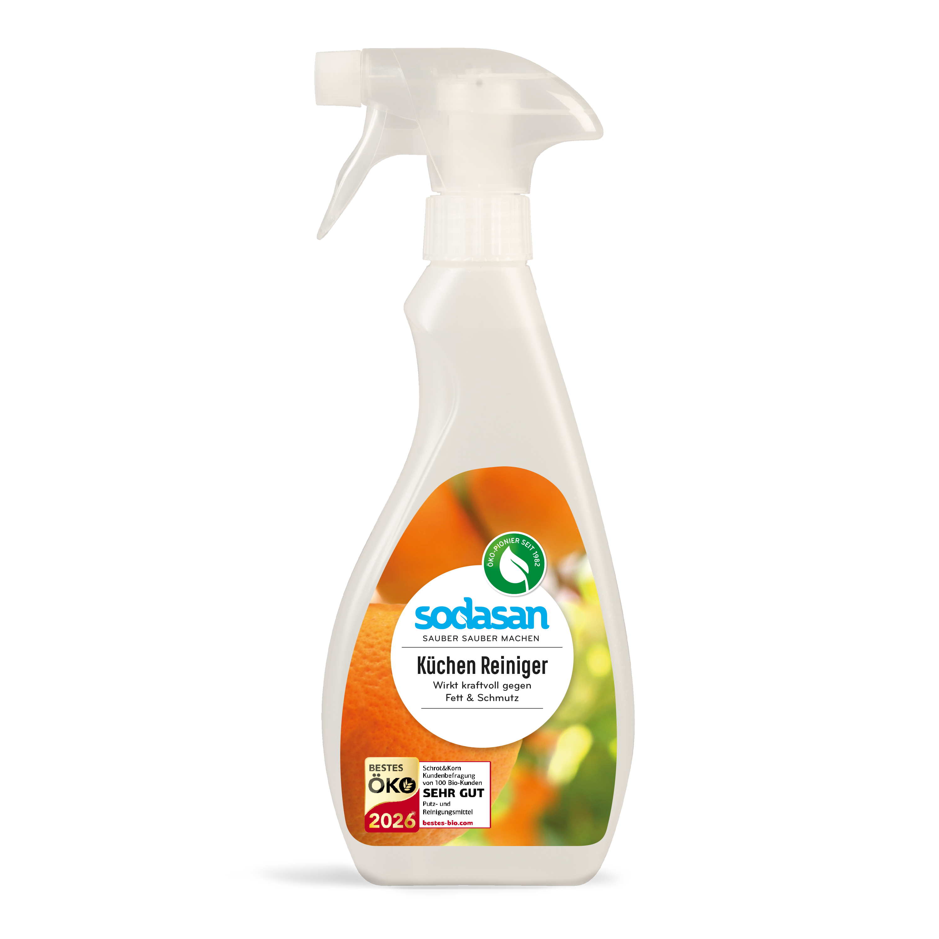 Kitchen Cleaner