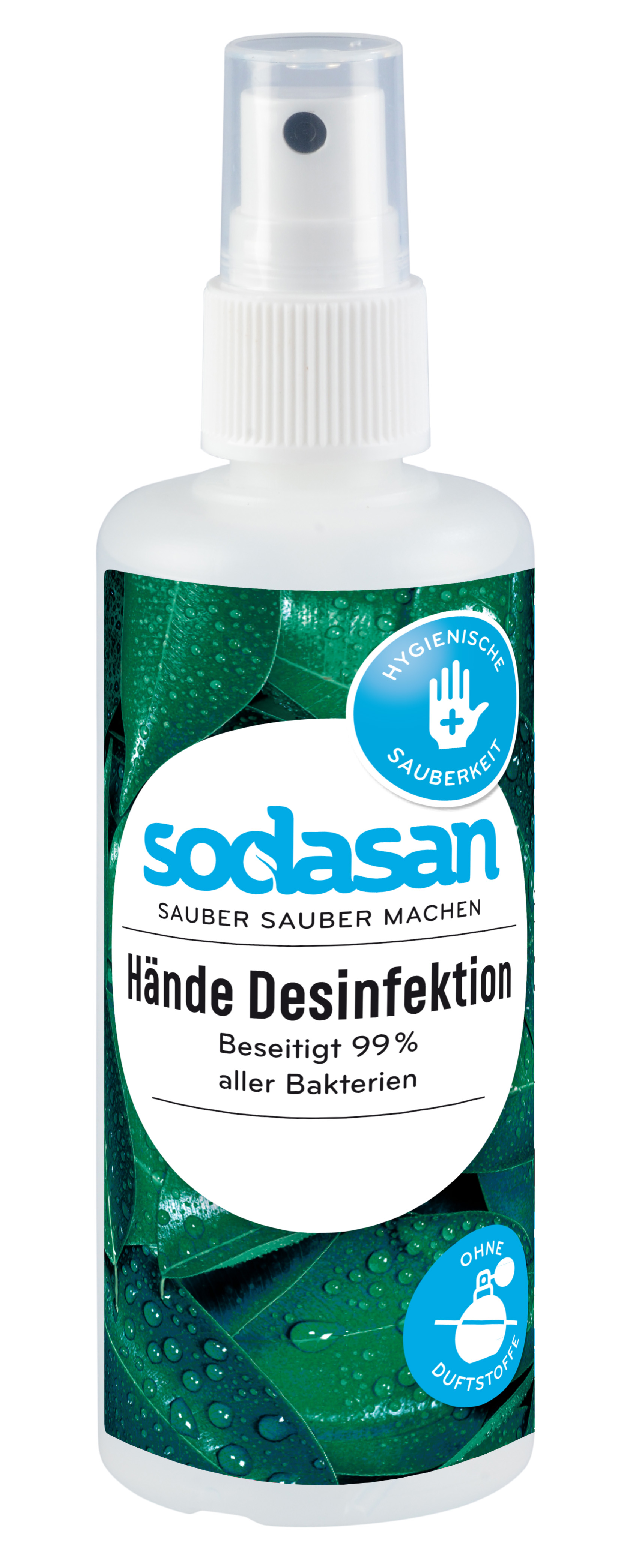 Hände Desinfektion Spray 100 ml